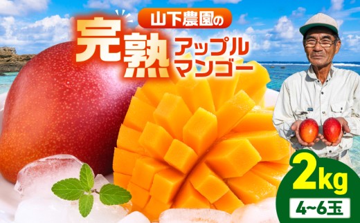 【2026年先行予約】甘い香りの贈り物！山下農園の完熟アップルマンゴー 2kg（4～6玉）　W063-003-02