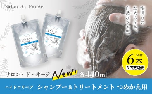 3回 定期便 サロン・ド・オーデ ハイドロリペア シャンプー ＆ トリートメント つめかえ用 各 440ml 2本 セット 合計 6本 ダメージ補修 ボトル 液体 アロインス製薬 美容 美容品 化粧品 日用品 消耗品 高知 高知県 四万十 四万十市 しまんと 25-105
