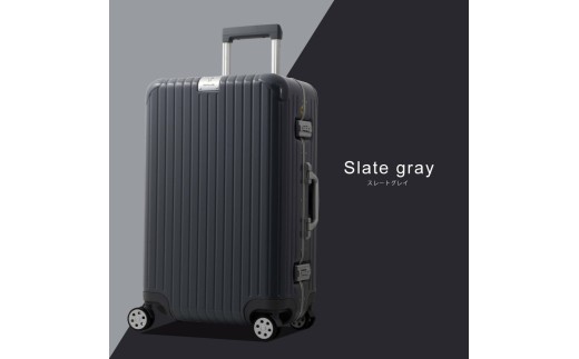 DL-2823スーツケースMスレートグレイ