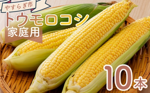 トウモロコシ １０本 家庭用 yr-0076