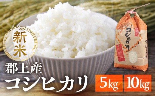 令和7年産 郡上産こしひかり 10kg / 食品 米 精米 白米 コシヒカリ お米 コメ こめ 米 2296060 - 岐阜県郡上市