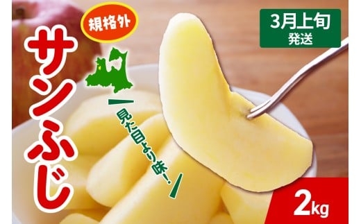 【2026年3月上旬発送】 りんご サンふじ 約 2kg 規格外 程度 青森 五所川原 不揃い サン ふじ りんご規格外 2355509 - 青森県五所川原市