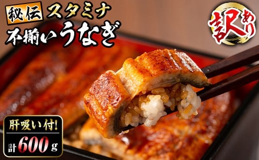 【訳あり】鹿児島県産！秘伝のスタミナうなぎ蒲焼き＜計600g以上／4尾以上＞肝吸い付き！ c0-138