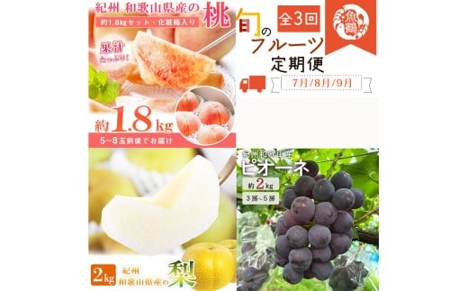 【全3回】紀州和歌山産旬のフルーツ定期便 (桃・梨・ピオーネ)  / フルーツ 柑橘 和歌山 もも モモ 梨 なし ぶどう 葡萄 シャインマスカット ピオーネ 紫苑 【tkb424】