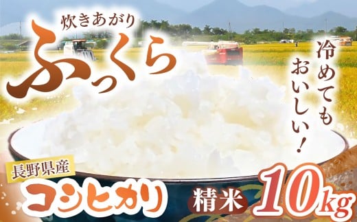 【令和7年度産】長野県産 コシヒカリ 精米 10kg | 米 こめ コメ お米 白米 はくまい 精米 コシヒカリ 長野県 松川村 信州