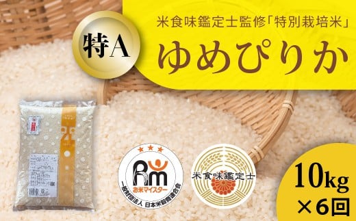 【北海道　農家直送！　米食味鑑定士 三ツ星お米マイスター 栽培 監修　定期便】舟山農産　令和7年産特別栽培米ゆめぴりか 10kg×6回コース  