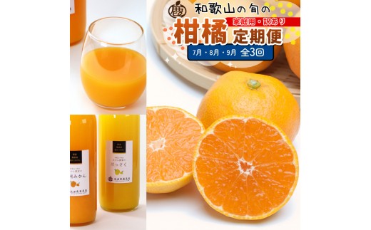 家庭用 柑橘定期便M（7～9月）全3回 ［IKE312］ 2340453 - 和歌山県九度山町
