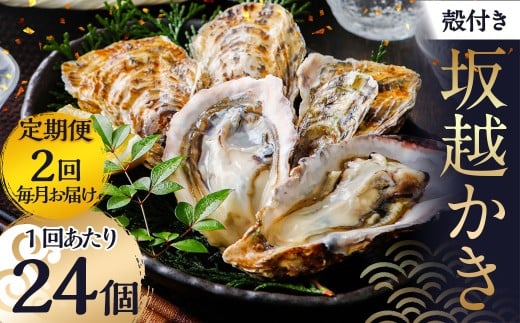 【2回定期便】 牡蠣 坂越かき 殻付き牡蠣 24個  カキ かき 海の幸 魚介 貝 【2026年3月上旬～4月下旬発送予定】 2352500 - 兵庫県赤穂市