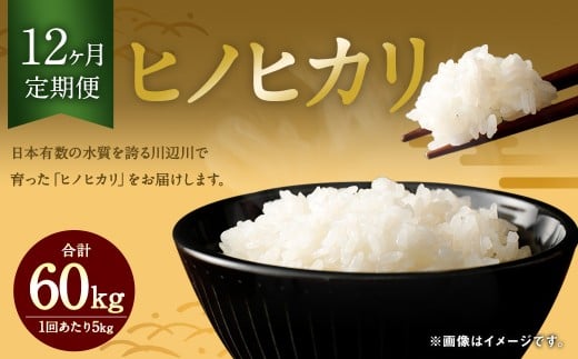 【12ヶ月定期便】相良村産 ヒノヒカリ 5kg 