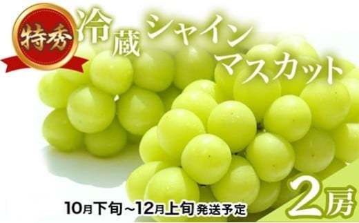 長野市産 冷蔵シャインマスカット [特秀] 2房[2025年10月下旬以降出荷分](タマファーム)