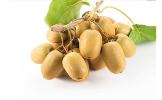 善通寺市産「キウイのたまご」約90玉　4.5kg相当 430593 - 香川県善通寺市