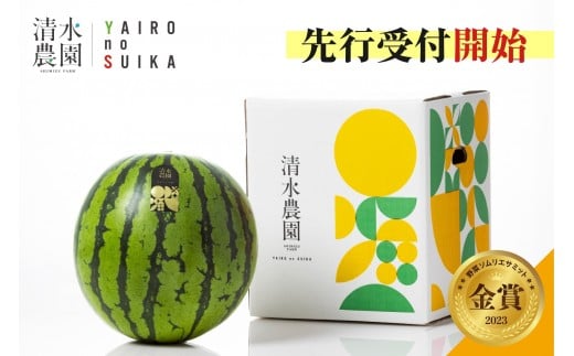 2026年7月下旬から発送予定　野菜ソムリエサミット金賞受賞　「清水農園の八色産金色羅皇」（１玉）