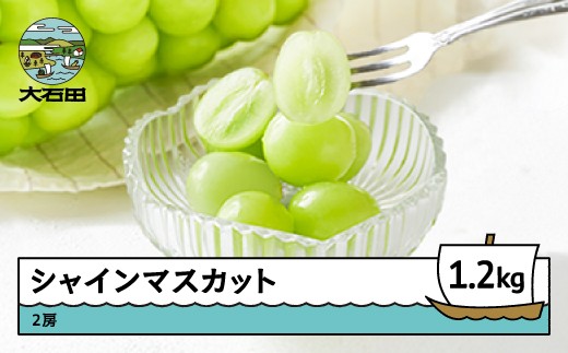 【先行予約】 ぶどう シャインマスカット 秀品 1200g 2房 フルーツ 果物 令和8年産 2026年産 山形県産 ns-busmx1200 940904 - 山形県大石田町