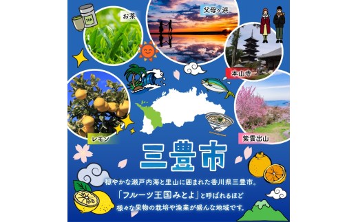 【ふるさと納税】 ナチュラムーン オーガニックコットン生理用品 昼用 羽付き 16個入×24袋セット [ ナプキン サニタリー用品 女性用 無添加 低刺激 肌にやさしい 健康 安心 安全 人気 おすすめ お試しセット 送料無料 香川県 三豊市 返礼品 G-Place ]