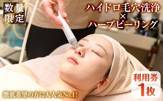 ＜数量限定＞ハイドロ毛穴洗浄×ハーブピーリング利用券(1枚)【m66-15】【melty minoh】