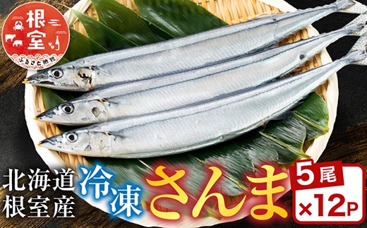 D-30002【12/21まで年内配送】 【北海道根室産】冷凍さんま60尾