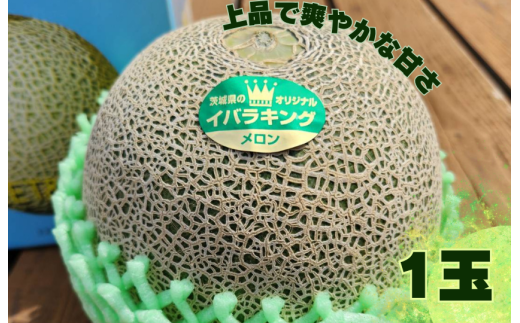 上品で爽やかな甘さ!イバラキングメロン(1個入)