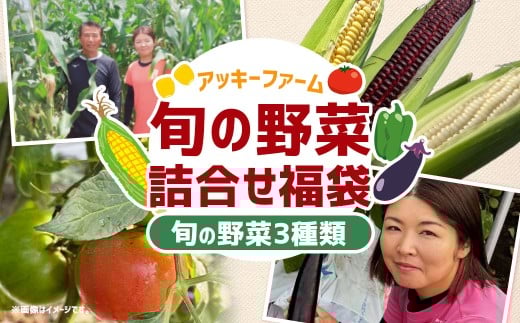 A322 アッキーファームの旬の野菜詰合せ福袋 （野菜3種） 詰め合わせ セット 季節 旬 お楽しみ 野菜 やさい なす トマト ミニトマト ピーマン ブロッコリー とうもろこし レタス カリフラワー 冷蔵 福岡県産 国産 福岡県 みやま市 2334646 - 福岡県みやま市