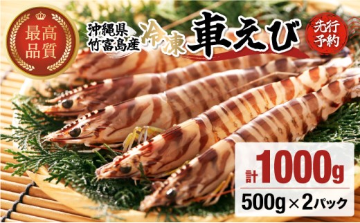 先行予約 車えび 1kg 竹富島産 冷凍車えび