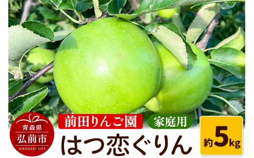 【25年10月～発送】りんご 【家庭用】 はつ恋ぐりん 約 5kg  前田りんご園