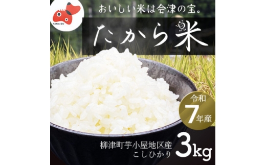 ＜令和7年産＞奥会津のきれいな水で大切に育てた「たから米」＜3kg＞【1679649】