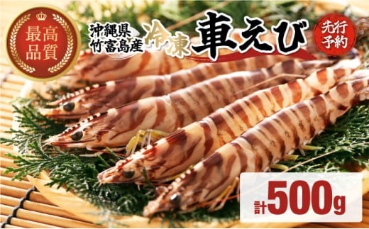 先行予約 車えび 500g 竹富島産 冷凍車えび