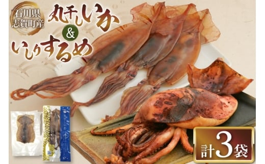 干物 丸干しいか 120g いしりするめ 4枚 [西海水産 石川県 志賀町 AB4134] いか イカ するめいか 魚醤 いしり イシリ いしる いしり醤油  2347766 - 石川県志賀町
