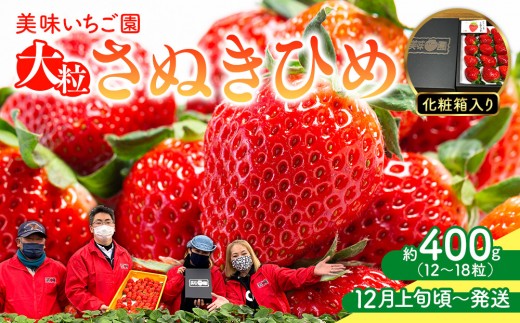 【12月上旬頃～発送】美味いちご園「さぬきひめ」化粧箱入り 400g