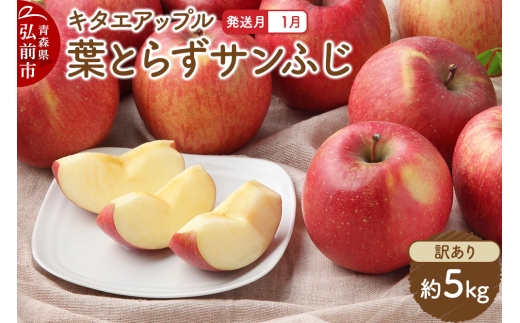 【26年1月発送】りんご 葉取らずサンふじ【訳あり】約5kg キタエアップル