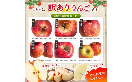 訳ありの理由画像