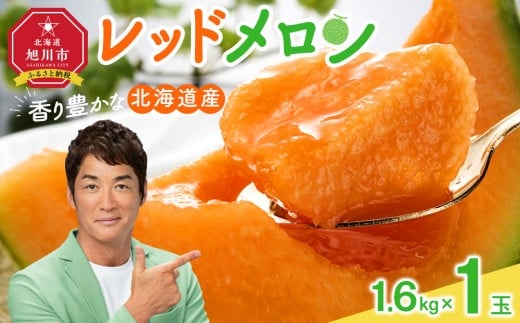 【26年発送先行予約】香り豊かな 北海道レッドメロン 1.6kg×1玉_05410 2344157 - 北海道旭川市