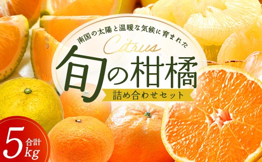 【数量限定】おたのしみ！旬の柑橘詰め合わせセット(４種約５kg) NK-4｜果物 柑橘 大将季 ぽんかん スイートスプリング 津之輝 麗江 サワーポメロ 南大隅町 産地直送 詰め合わせ 5kg 国産 数量限定  2333760 - 鹿児島県南大隅町