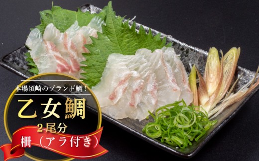 真鯛 刺身 用 柵 アラ付き 2尾 セット 2kg 本場須崎のブランド 鯛 乙女鯛 新鮮 冷蔵 刺身 お刺し身 タイ 鯛 高級魚 鮮魚 海鮮 魚介 煮付け 鯛めし 鯛茶漬け 鯛しゃぶ アラ汁 皿 高知県 須崎市