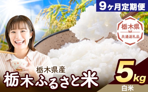 【9ヶ月定期便】米 栃木 ふるさと米 白米 5kg《定期は翌々月より出荷開始》栃木県 野木町 米 白米 精米 国産 お米 おこめ お弁当 おにぎり【栃木県共通返礼品】