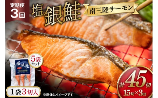 3回 定期便 塩銀鮭パック 3切×5袋×3回 総計15袋 [たみこの海パック 宮城県 南三陸町 m304amh560085] 鮭 切り身 サーモン 銀鮭 塩銀鮭 シャケ 切身 さけ サケ 国産 小分け 個包装 冷凍 