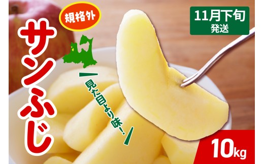 【2025年11月下旬発送】 りんご サンふじ 約 10kg 規格外 程度 青森 五所川原 不揃い サン ふじ りんご規格外 2355527 - 青森県五所川原市