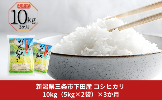 [定期便10kg (5kg×2袋) ×3ヶ月] コシヒカリ 新潟県三条市下田産 こしひかり 計30kg 令和7年産米 3か月 (3ヵ月) 連続でお届け  [JAえちご中越]【046S007】