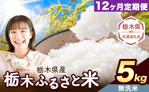 【12ヶ月定期便】米 栃木 ふるさと米 無洗米 5kg《定期は翌々月より出荷開始》栃木県 野木町 米 白米 精米 国産 お米 おこめ お弁当 おにぎり【栃木県共通返礼品】