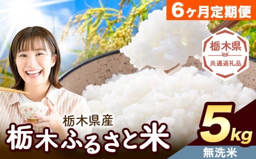 【6ヶ月定期便】米 栃木 ふるさと米 無洗米 5kg《定期は翌々月より出荷開始》栃木県 野木町 米 白米 精米 国産 お米 おこめ お弁当 おにぎり【栃木県共通返礼品】