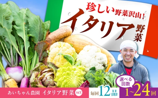 【12品×12回定期便】農薬に頼らない！カラダにやさしい「イタリア野菜」セット（ラージ）【吉野ヶ里あいちゃん農園】[FAA022]