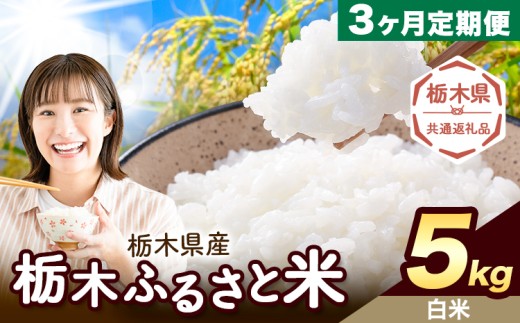 【3ヶ月定期便】米 栃木 ふるさと米 白米 5kg《定期は翌々月より出荷開始》栃木県 野木町 米 白米 精米 国産 お米 おこめ お弁当 おにぎり【栃木県共通返礼品】 2358173 - 栃木県野木町