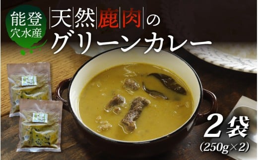 【能登・穴水産】天然 鹿肉のグリーンカレー 2袋セット(計500g) | 奥能登 能登半島 穴水町 ジビエ 鹿肉 お肉 カレー レトルト 500グラム