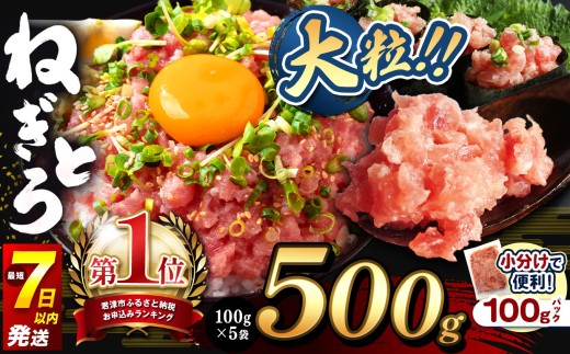 ねぎとろ 小分け 100g パック 500g(100g×5袋)お試しサイズ 定期便 スピード発送 | 清幸丸水産 最短7日以内発送 おためし サイズ 大人気 手巻き寿司 海鮮丼 マグロのユッケ まぐろ 海鮮 小分け 100g パック 千葉県 君津市