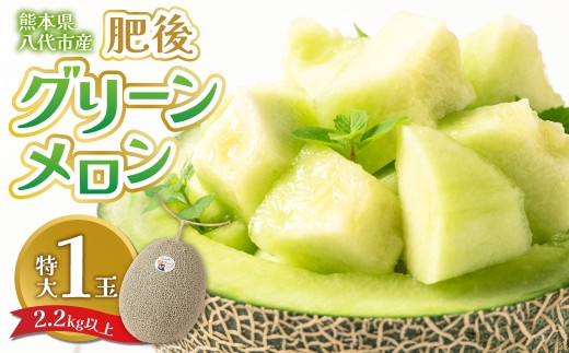 熊本県八代市産肥後グリーンメロン 特大1玉 2.2kg以上！