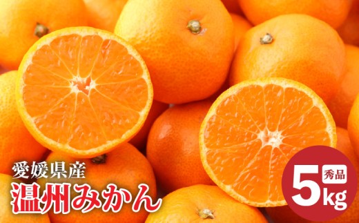 【2025年11月下旬より発送】愛媛県産 みかん 秀品 約 5kg | 温州 ミカン mikan みかん ギフト 贈り物 蜜柑 柑橘 数量限定 愛媛県 松山市