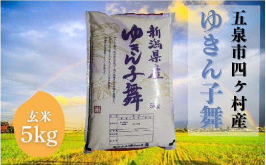 令和7年産米【お米ソムリエのお米】ゆきん子舞 玄米 5kg（5kg×1袋）五泉市四ヶ村産 米 お米 新潟県 五泉市 エバーグリーン農場 1403733 - 新潟県五泉市