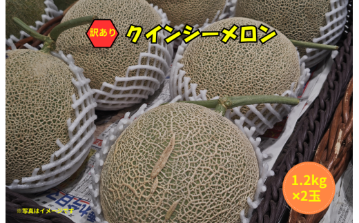 【訳あり】クインシーメロン 2玉（1.2kg×2）