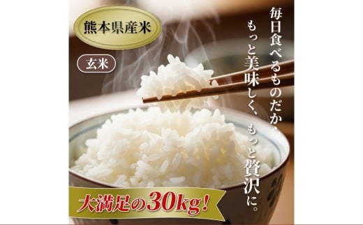 【令和7年産】【玄米】 森のくまさん 玄米30kg(5kg×6袋) 【2025年11月上旬より順次発送開始】 米 お米 ごはん ご飯 常温 熊本県 熊本市