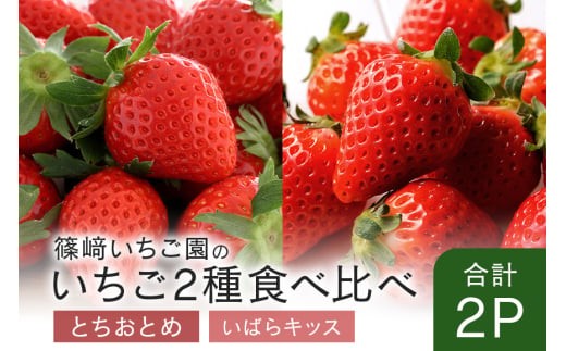 【2026年先行予約】とちおとめ1P＆いばらキッス1P (A32-008) 2030524 - 茨城県石岡市
