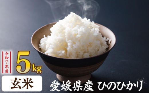 【玄米】ひのひかり 5kg | お米 愛媛県産米 ふるさと納税お米 こめ ご飯 ご飯のおとも ご飯 おにぎり 弁当 おこめ ごはん 飯 愛媛県 松山市 1509567 - 愛媛県松山市